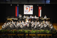 08.06.2014 Festa Cantonale della Musica a Bellinzona